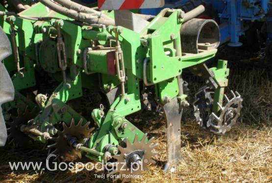 Siew bezorkowy strip-till (uprawa pasowa) buraków, kukurydzy oraz siew kukurydzy Monosem