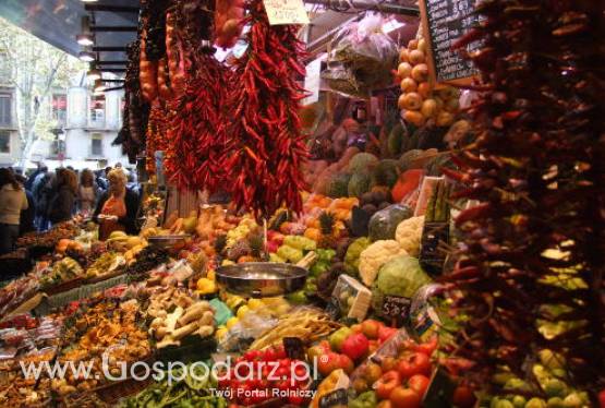 Polska współorganizatorem Międzynarodowych Targów Zielony Tydzień 2011 w Berlinie