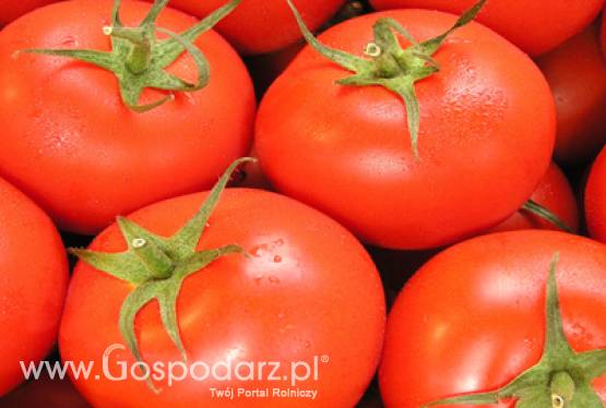 Pora na pomidora, jabłko, gruszkę, kalafiora…