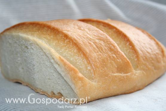 XIII Dożynki Województwa Mazowieckiego