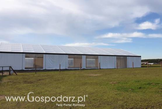 Stajnia Ujeżdżalnia