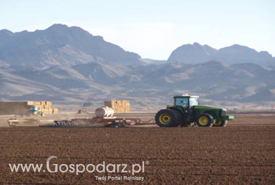 Rolnicy i mikroprzedsiębiorcy mogą składać w ARiMR wnioski o przyznanie pomocy na tworzenie nowych miejsc pracy na wsi