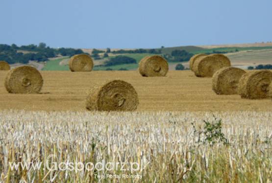 PROW 2007-2013 - ocena bieżąca