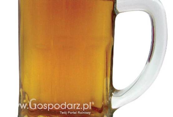 Czy wiesz co za piwo pijesz?