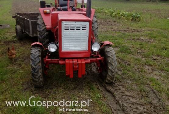 sprzedam t25 nie c330.mf