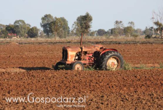 Wspólna Polityka Rolna po 2013 roku to największe tegoroczne wyzwanie dla Ministerstwa Rolnictwa