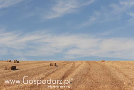 Spotkanie z ambasadorem Republiki Korei