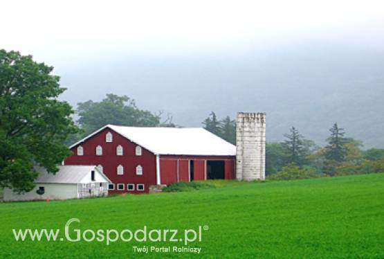 Od 17 października ARiMR rozpoczyna wypłatę dopłat rolnikom gospodarujących