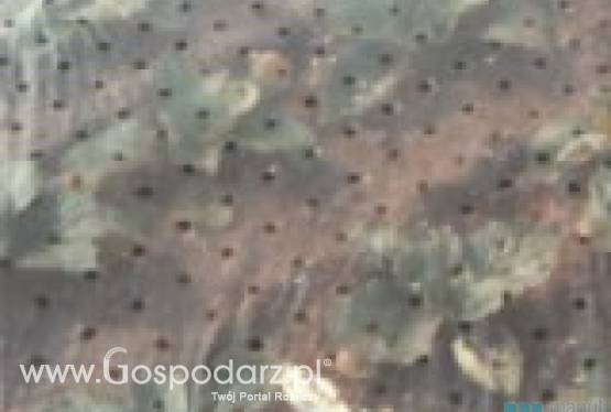 Folia ogrodnicza perforowana