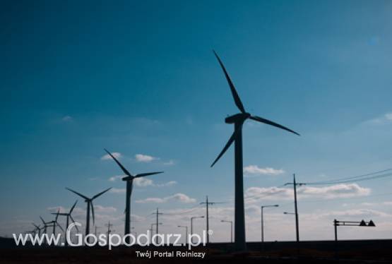 Dong Energy analizuje możliwość budowy dużej instalacji do produkcji bioetanolu z biomasy stałej