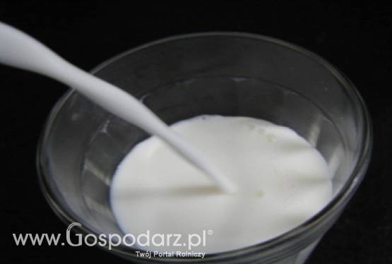 Niemcy - Wzrost produkcji mleka