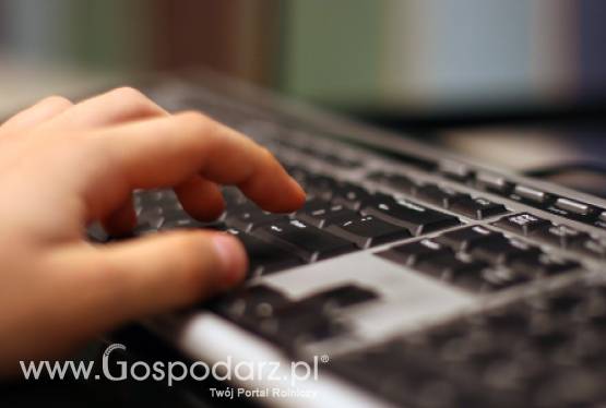 Polacy kochają kupować przez Internet