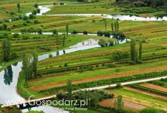 Wielkopolskie rzeki wymagają konserwacji