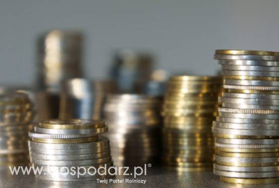 Ponad 12,3 miliarda zł trafiło do rolników w ramach dopłat bezpośrednich za 2010 rok