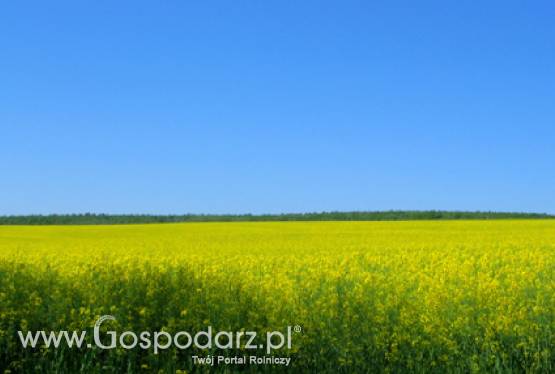 I Ogólnopolska Konferencja EcoFuel