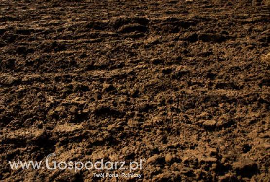 Ceny gruntów rolnych wyhamowały