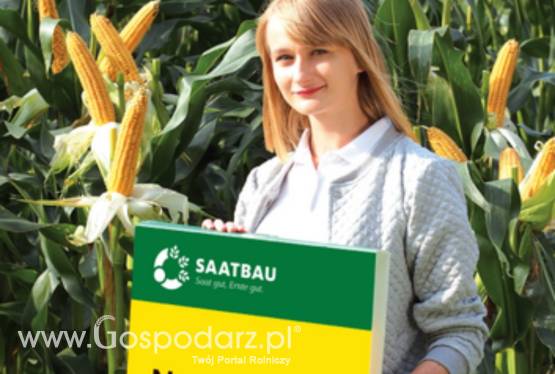 Kukurydza nasiona NEPOMUK NOWOSC