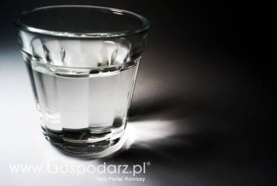 Polska wódka zalewa świat