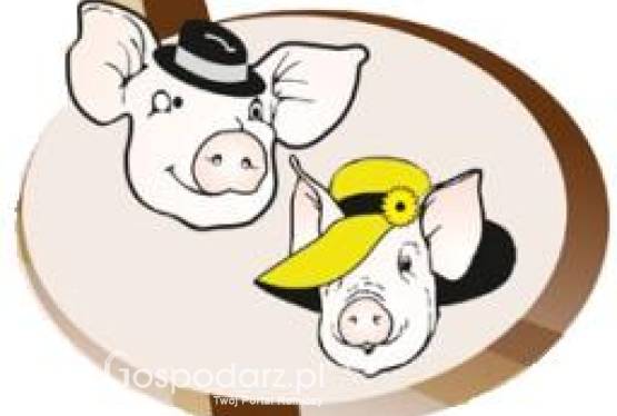 Festiwal Wieprzowiny