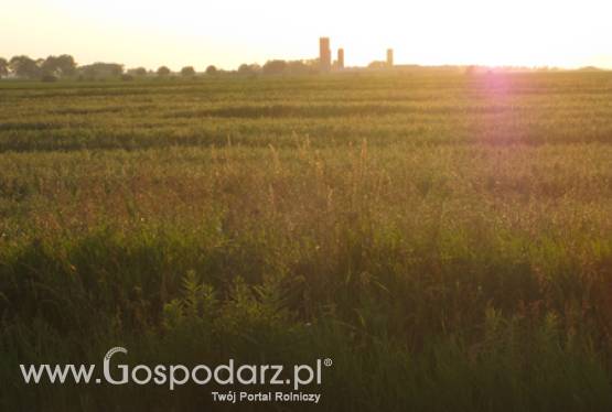 II Ogólnopolskie Forum Gorzelników ZGP