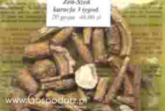 korzeń żeńszenia do żucia na herbatę nalewkę