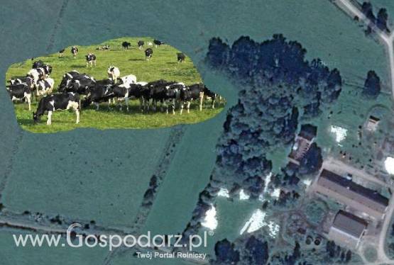 Sprzedam czynne dochodowe gospodarstwo 180ha