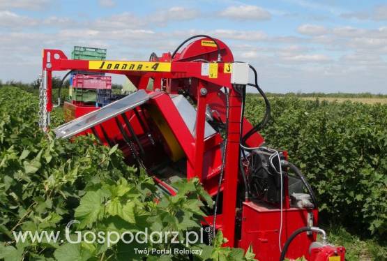 Kombajn JOANNA-4 do zbioru owoców