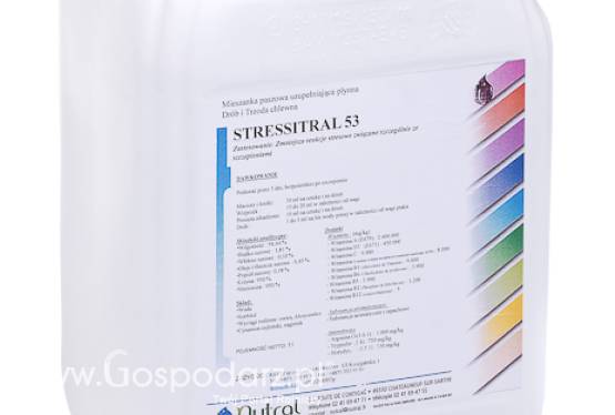 STRESSITRAL 62  5L - preparat dla drobiu: przeciwstresowy/uspokajający