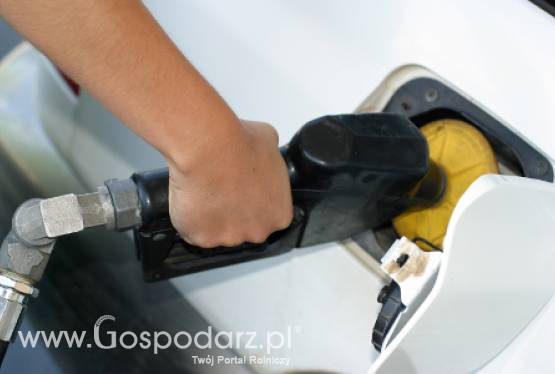 Dlaczego paliwo jest takie drogie?