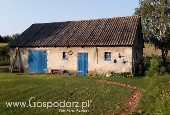 Dom na Wsi Gospodarstwo Siedlisko