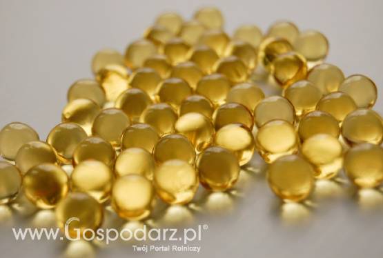 Polscy naukowcy wynaleźli dietę, która zapobiega nowotworom