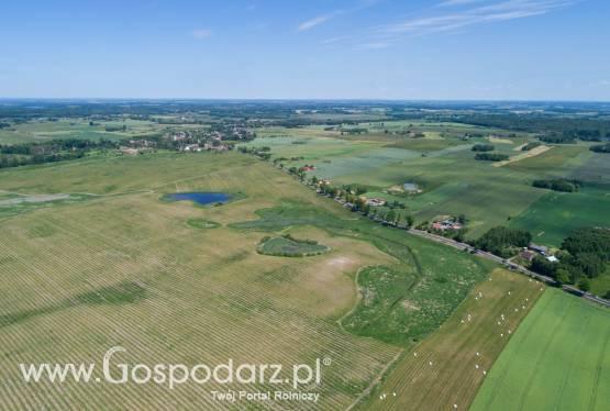 Wydzierżawię 300 ha ziemi rolnej z przewagą klasy III i IV, 30 km na północ od Ostródy