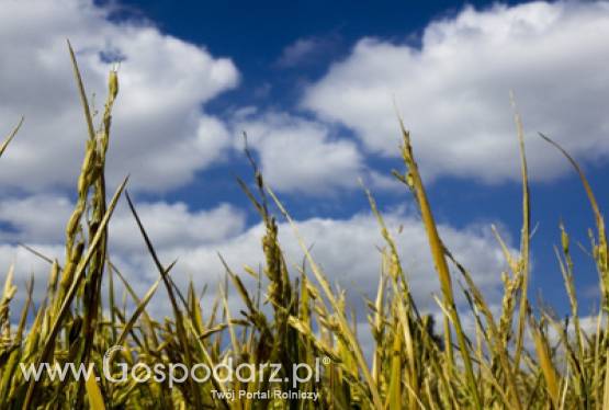 W Warszawie o polityce rolnej Europy i Ameryki