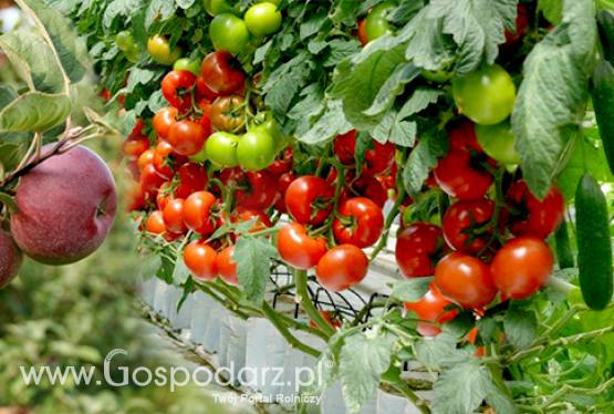 Targi Sadownictwa i Warzywnictwa TSW 2015