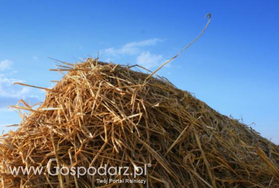 Stabilizacja cen pasz przemysłowych?