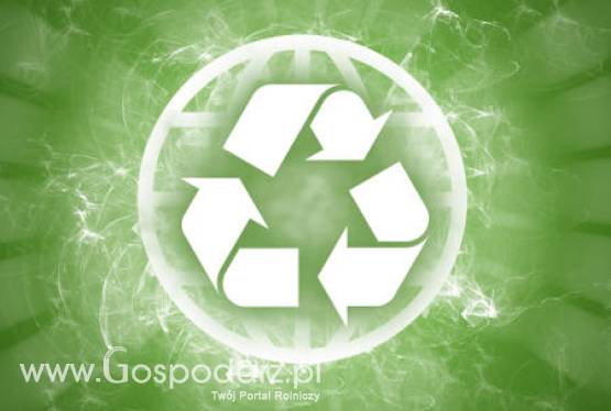 Nowy raport IEA wskazuje na istotną rolę biopaliw w realizacji polityki transportowej do 2050 roku