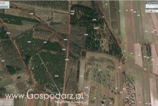Sprzedam! grunt (7 działek) 11 ha, w tym 2 ha pod zabudow