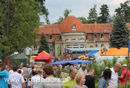 Relacja z XX Targów Rolniczych Lubniewice 2011