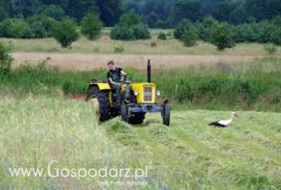 Kredyt dla rolników do 350 tyś!!!