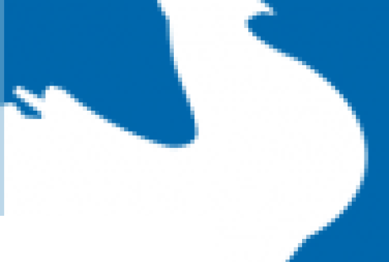 Wystawa Gołębi Rasowych