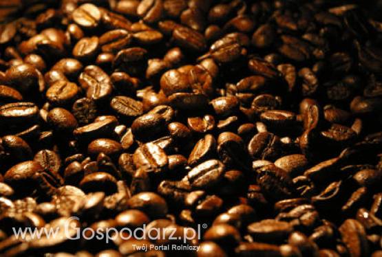 Tańsza kawa, ale tylko na giełdach