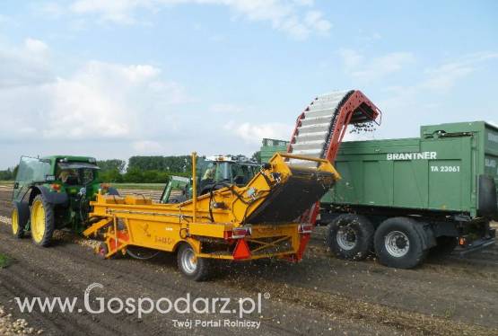 Ładowarka do cebuli SU2LS SAMON