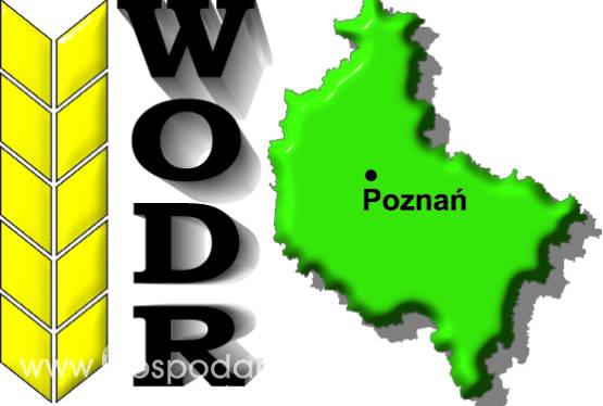 MARSZEWSKIE  DNI  POLA ‘2014,  Letnie Targi Rolno-Ogrodnicze AGROMARSZ