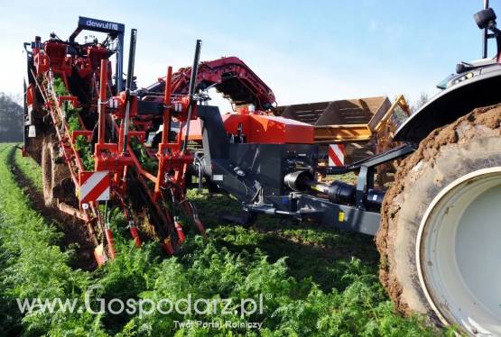 Kombajn do marchwi GK II S DEWULF