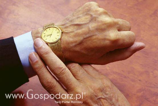 Spotkanie z Parlamentarnym Sekretarzem Stanu w Ministerstwie Rolnictwa Niemiec