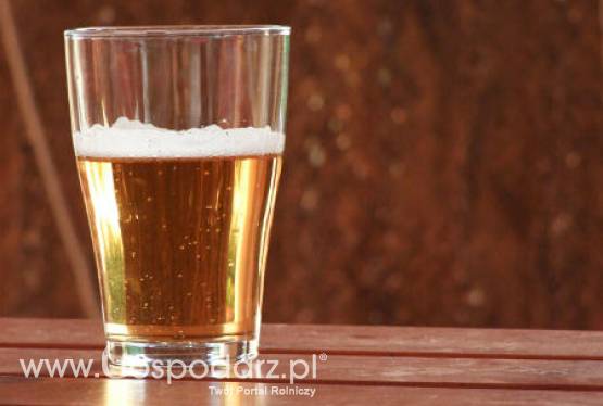 Nietypowe piwo - Dlaczego nie?