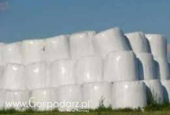 Sianokiszonka w belach. Podlaskie