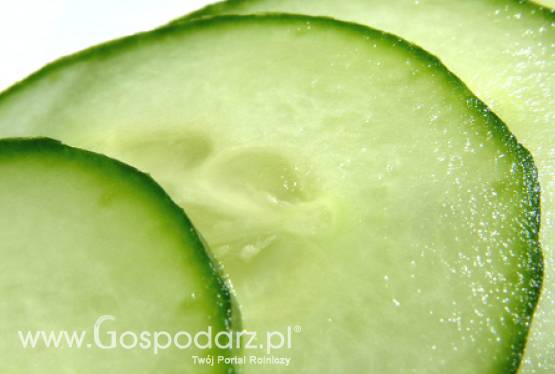 Polacy nie chcą jeść ogórków