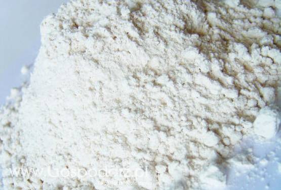 Międzynarodowe Targi DJAZAGRO w Algierze 23-26 kwietnia 2012 r.