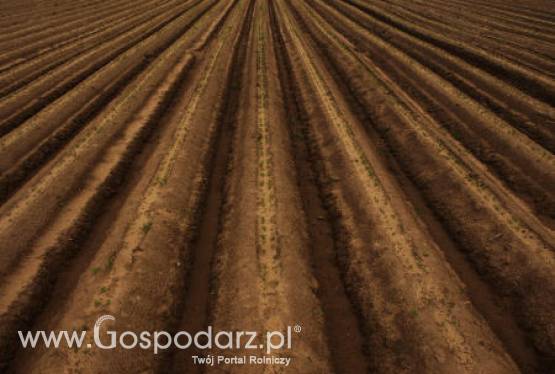 Wyprzedaż ziem z obszarów powodziowych ruszyła